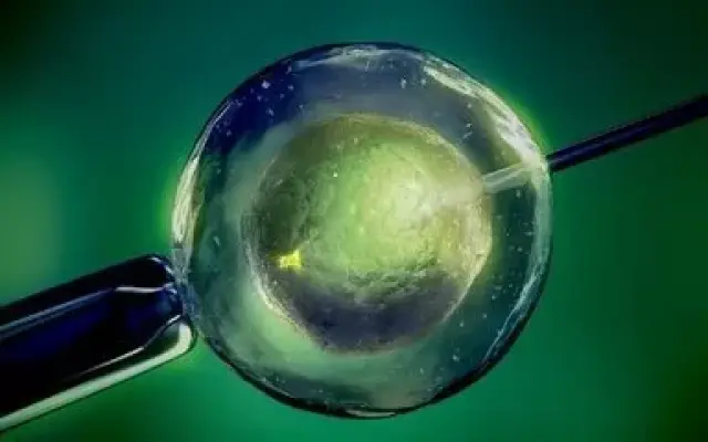 供卵试管选性别代生公司